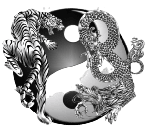 Yin and Yang Philosophy in Martial Arts