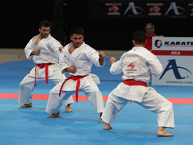 Martial Arts for over 40 Karate practitioners doing kata