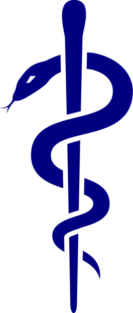 Unlocking the Physical Health Advantages of Martial Arts