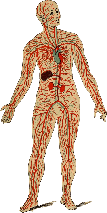 Martial arts embodies a balance – a balance between physical strength and mental fortitude, between discipline and creativity, between tradition and innovation.